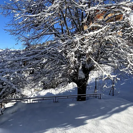 In Villars-sur-ollon Chalet Ollon