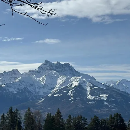 샬레 In Villars-sur-ollon