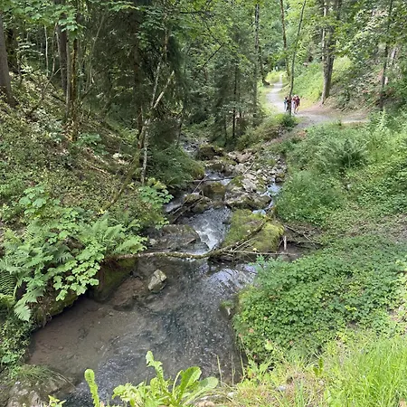 In Villars-sur-ollon * 올롱