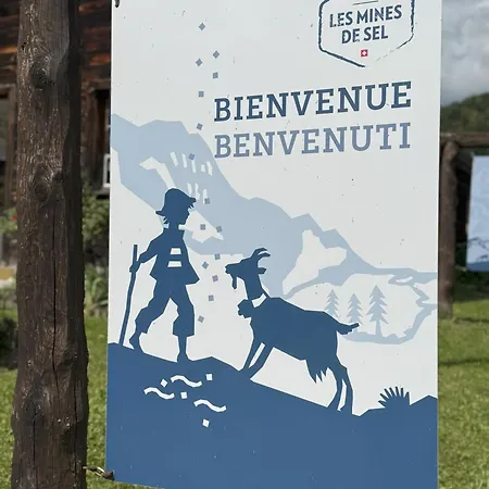 In Villars-sur-ollon Chalet Ollon