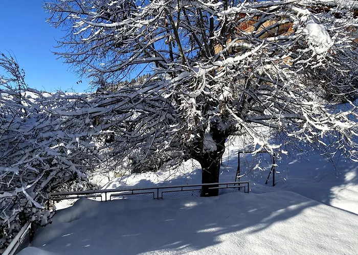 In Villars-sur-ollon Chalé Ollon